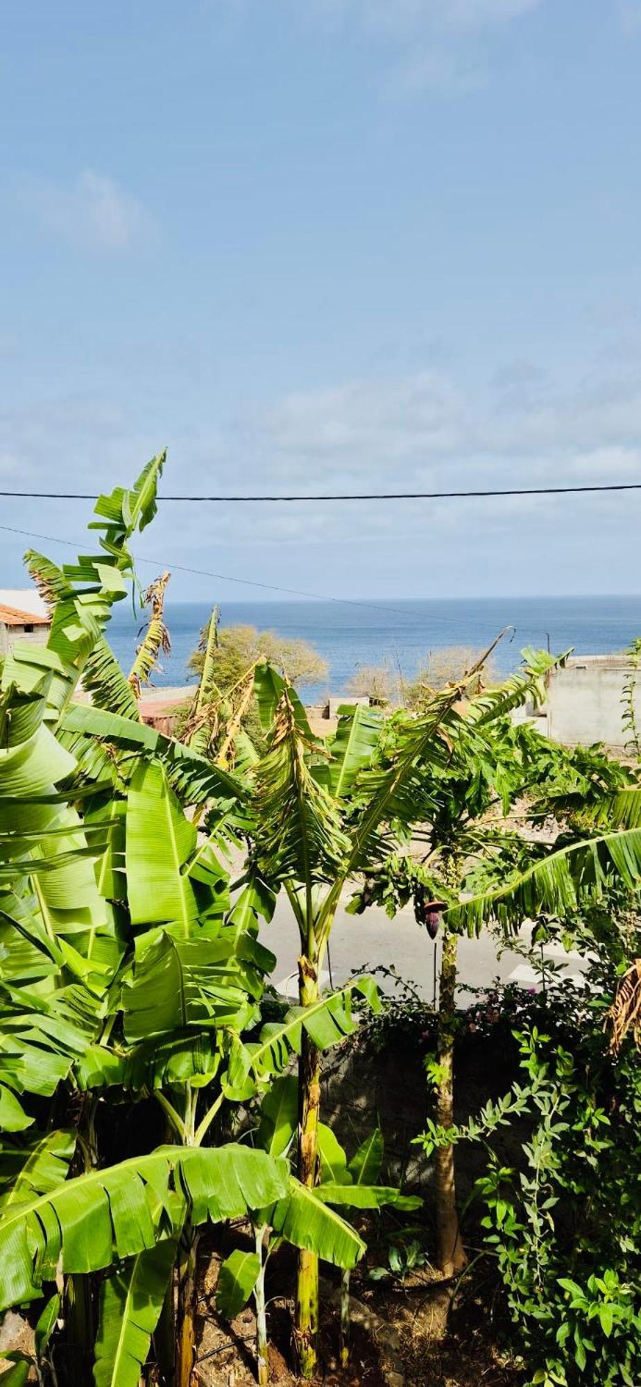 Casa Chiquinha Apartment Ribeira da Prata Ngoại thất bức ảnh